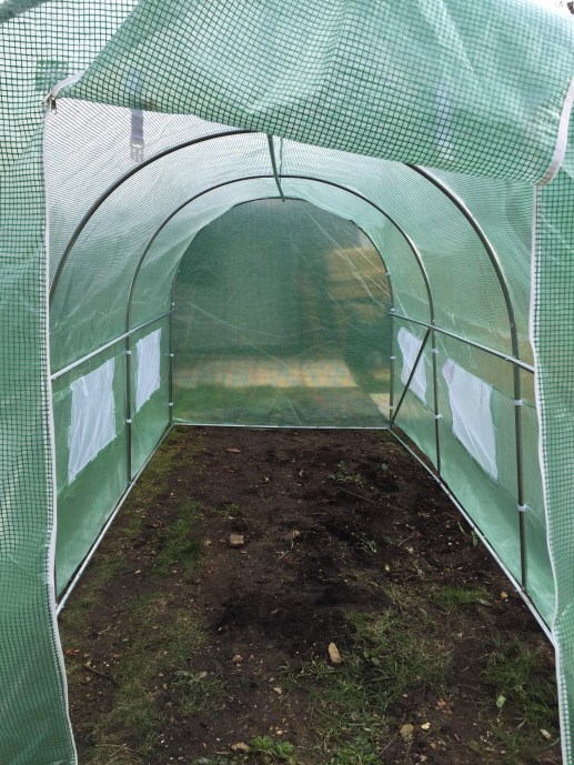 Polytunnel 1